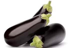 Aubergine Dutch