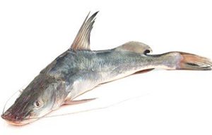 Ayer Fish 3Kg