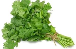 Coriander (Bunch)