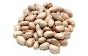 Fresh Jackfruit Seeds