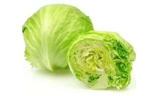 Iceberg Lettuce