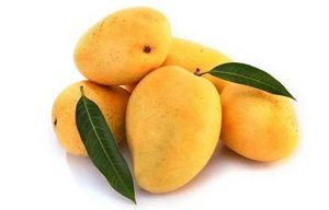 Kesar Mango 3kg