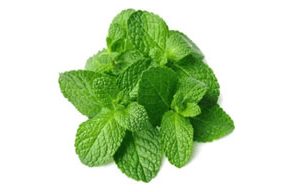 Mint Leaf- Bunch