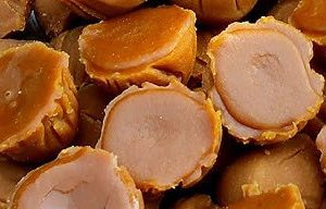 Nolen Gur (Patali Gur)