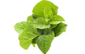 Pui Saag 500g