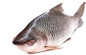 Rohu 3 Kg