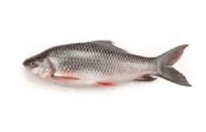 Ruhu 500gm