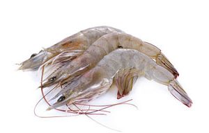 Shrimp 250gm