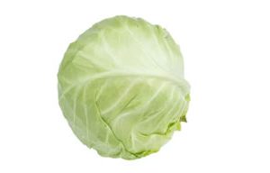 White Cabbage