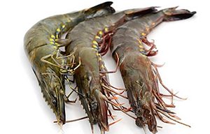 Medium Whole Prawns 2Kg