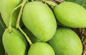 Raw Mangoes 500g